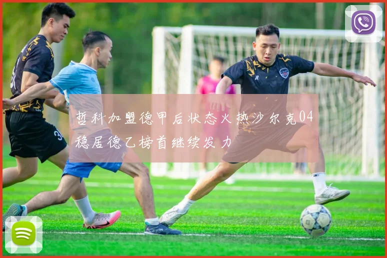 哲科加盟德甲后状态火热沙尔克04稳居德乙榜首继续发力