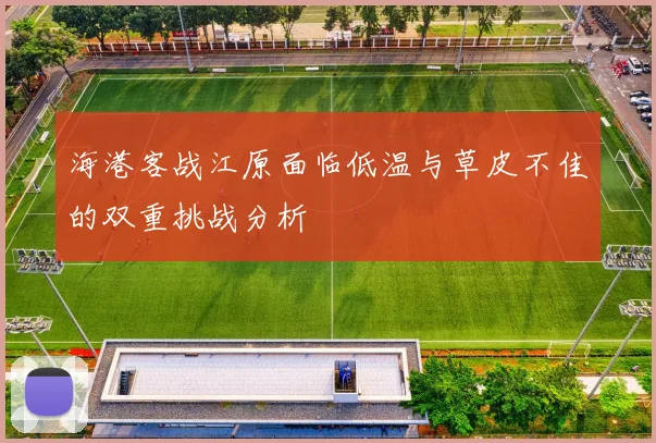 海港客战江原面临低温与草皮不佳的双重挑战分析
