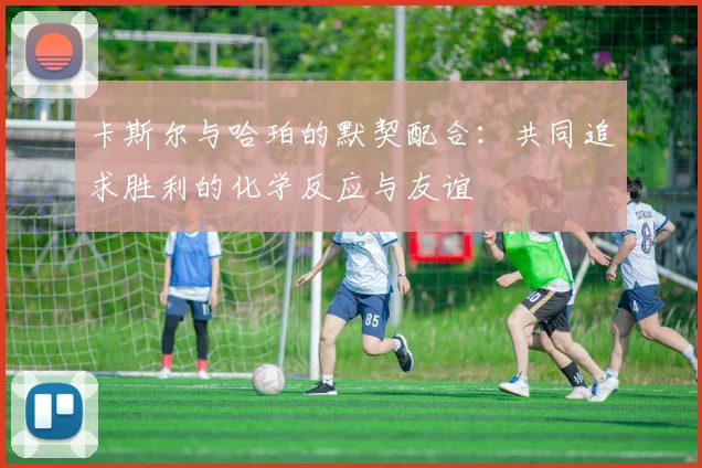 卡斯尔与哈珀的默契配合：共同追求胜利的化学反应与友谊